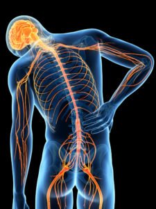 Sarasota Levaquin Nerve Damage Lawyers | The Law Place Sarasota Levaquin Nerve Damage Lawyer