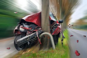 car speeding crashed into a tree
